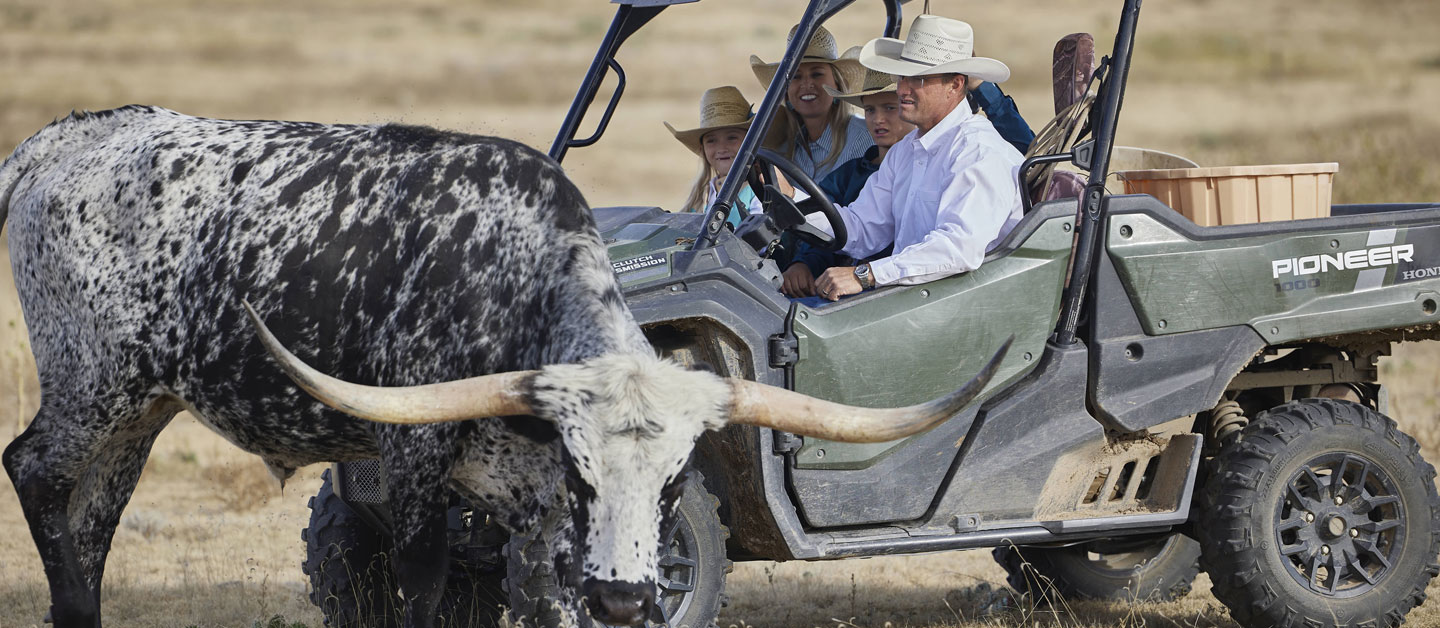 Shali riding a four by four with her husband and two kids, as they drive by a longhorn cow.
